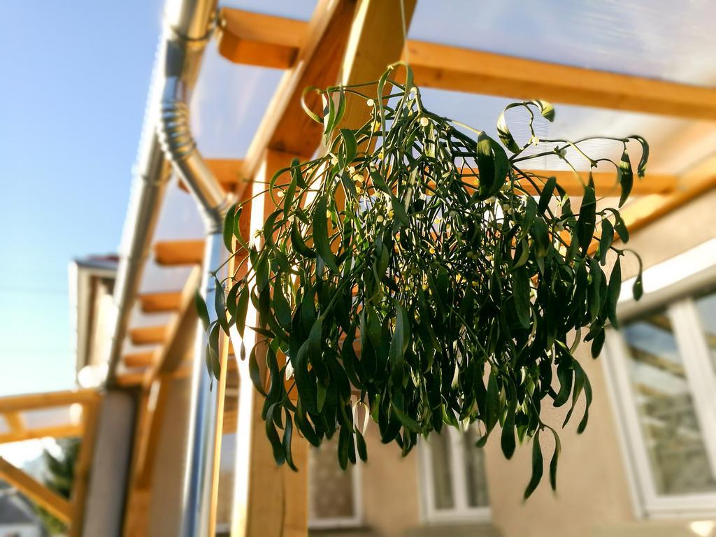 Apartamento Fagyoengy Sárvár Exterior foto